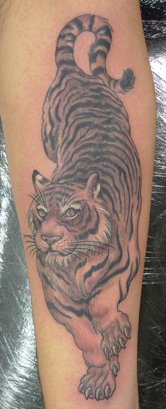 Tiger Tattoo Forearm